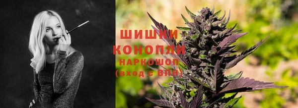 стафф Гусь-Хрустальный