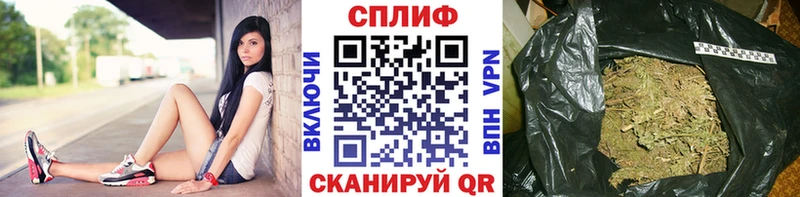 Бошки марихуана план  Купить где  Карасук 